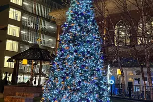 930 Rose Ave, North Bethesda, MD 20852 - Photo 69