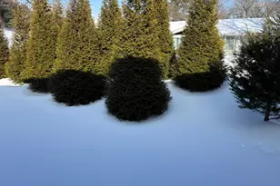 15401 Bassett Ln, Silver Spring, MD 20906 - Photo 11