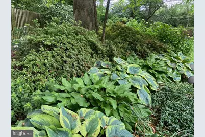 8008 Aberdeen Road, Bethesda, MD 20814 - Photo 19