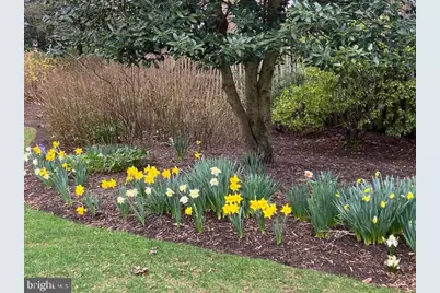 8008 Aberdeen Road, Bethesda, MD 20814 - Photo 5