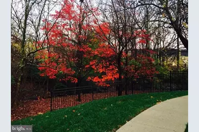 5700 Chapman Mill Drive #320, Rockville, MD 20852 - Photo 19