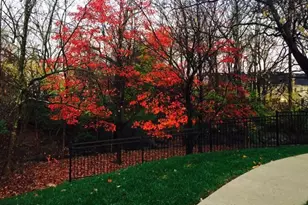 5700 Chapman Mill Dr, Rockville, MD 20852 - Photo 19