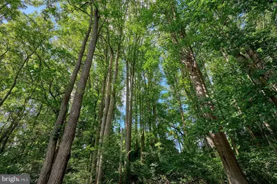 31 Haviland Mill Road, Brookeville, MD 20833 - Photo 15