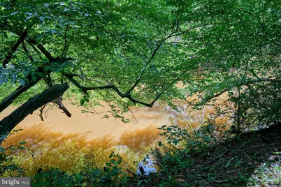 31 Haviland Mill Road, Brookeville, MD 20833 - Photo 23