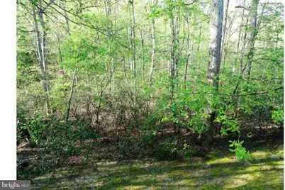 10225 Cove Ledge Court, Montgomery Village, MD 20886 - Photo 11