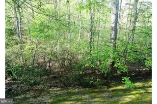 10225 Cove Ledge Ct, Montgomery Village, MD 20886 - Photo 11