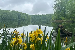 13647 Spinning Wheel Dr, Germantown, MD 20874 - Photo 63