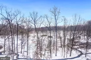 15115 Interlachen Dr, Silver Spring, MD 20906 - Photo 13