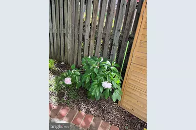 10616 Pennydog Lane, Silver Spring, MD 20902 - Photo 53