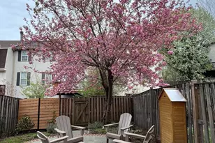 10616 Pennydog Ln, Silver Spring, MD 20902 - Photo 47