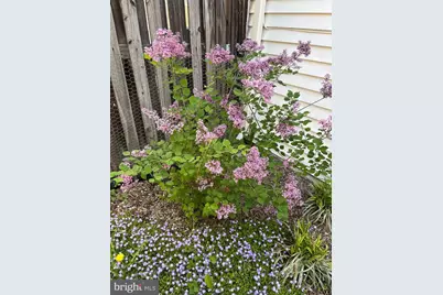 10616 Pennydog Lane, Silver Spring, MD 20902 - Photo 49