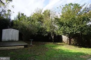 923 Lewis Ave, Rockville, MD 20851 - Photo 19