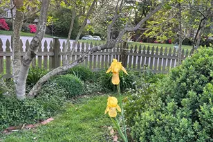 512 Pershing Dr, Silver Spring, MD 20910 - Photo 37