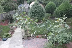 1320 Rainbow Dr, Silver Spring, MD 20905 - Photo 23