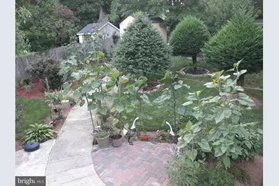 1320 Rainbow Drive, Silver Spring, MD 20905 - Photo 25