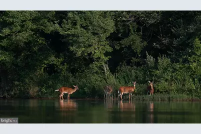 14440 Long Channel Circle, Germantown, MD 20874 - Photo 55