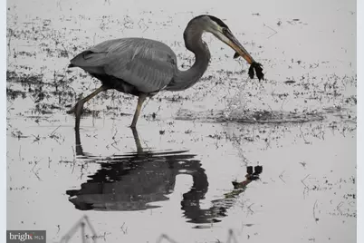 14440 Long Channel Circle, Germantown, MD 20874 - Photo 51