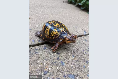 14440 Long Channel Circle, Germantown, MD 20874 - Photo 57