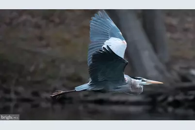 14440 Long Channel Circle, Germantown, MD 20874 - Photo 53