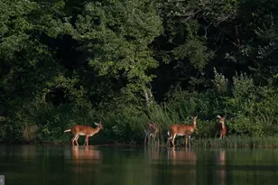 14440 Long Channel Cir, Germantown, MD 20874 - Photo 47