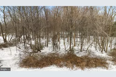 20910 Delta Drive, Gaithersburg, MD 20882 - Photo 9