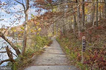 7212 Grinnell Drive, Derwood, MD 20855 - Photo 47