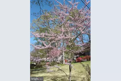 1912 Kimberly Road, Silver Spring, MD 20903 - Photo 45