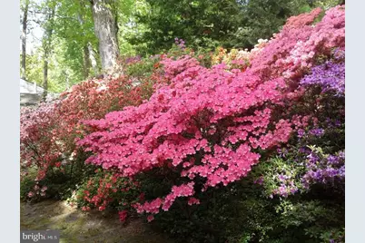 1912 Kimberly Road, Silver Spring, MD 20903 - Photo 43