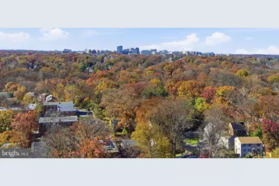 8209 Flower Avenue, Takoma Park, MD 20912 - Photo 75