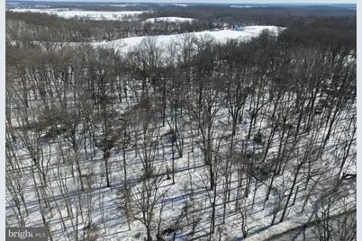 1+/- Acre Elmer School Road, Dickerson, MD 20842 - Photo 3