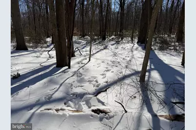 1+/- Acre Elmer School Road, Dickerson, MD 20842 - Photo 19