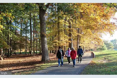 15115 Interlachen Drive #3-506, Silver Spring, MD 20906 - Photo 27