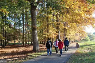 15115 Interlachen Dr, Silver Spring, MD 20906 - Photo 27