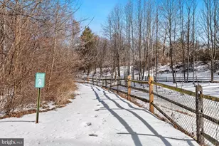 10007 Vanderbilt Cir, Rockville, MD 20850 - Photo 31