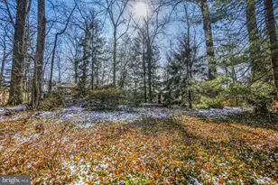 6105 Tilden Ln, Rockville, MD 20852 - Photo 29