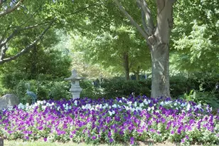 10201 Grosvenor Pl, North Bethesda, MD 20852 - Photo 23