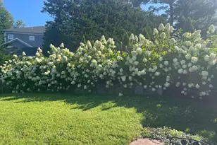 8807 Ridge Rd, Bethesda, MD 20817 - Photo 11