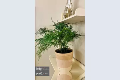 1111 Dennis Avenue, Silver Spring, MD 20901 - Photo 41