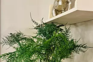 1111 Dennis Ave, Silver Spring, MD 20901 - Photo 41