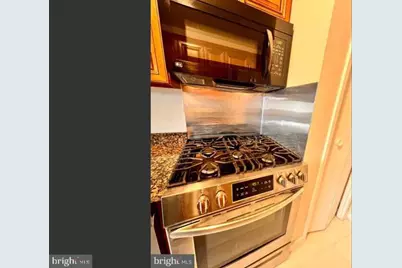 1900 Lyttonsville Road #717, Silver Spring, MD 20910 - Photo 13