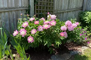 406 Dale Dr, Silver Spring, MD 20910 - Photo 59