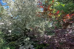 5225 Westpath Way, Bethesda, MD 20816 - Photo 43