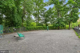7333 New Hampshire Ave, Takoma Park, MD 20912 - Photo 29