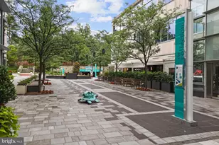 4817 Chevy Chase Blvd, Chevy Chase, MD 20815 - Photo 71