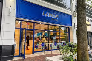 4817 Chevy Chase Blvd, Chevy Chase, MD 20815 - Photo 83