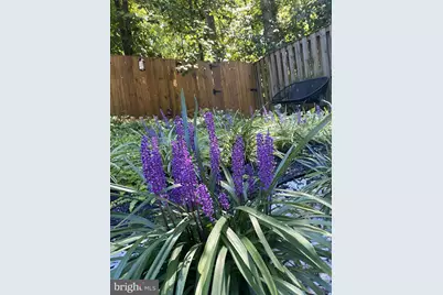 17121 Briardale Road, Rockville, MD 20855 - Photo 37