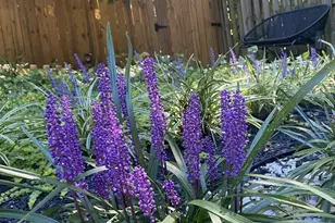 17121 Briardale Rd, Rockville, MD 20855 - Photo 37