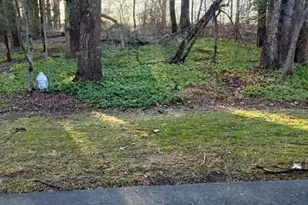 10624 Kenilworth Ave, Bethesda, MD 20814 - Photo 9