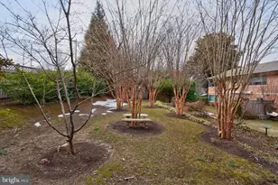 5023 Sentinel Dr, Bethesda, MD 20816 - Photo 23