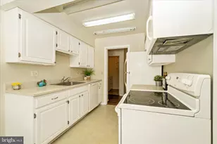 15316 Pine Orchard Dr, Silver Spring, MD 20906 - Photo 23